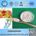 market price carrageenan for beer/toothpaste/pet food/air freshener